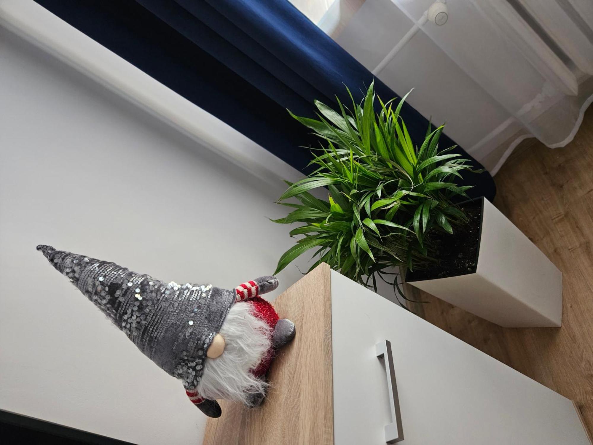 Apartamenty Koktajlove Kielce Camera foto